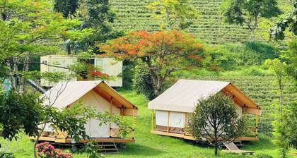 TAM CHAU FARM