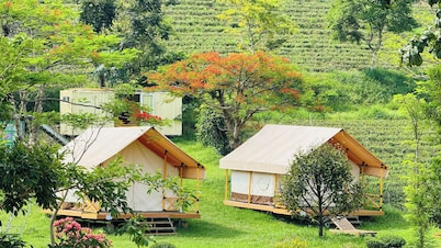 TAM CHAU FARM