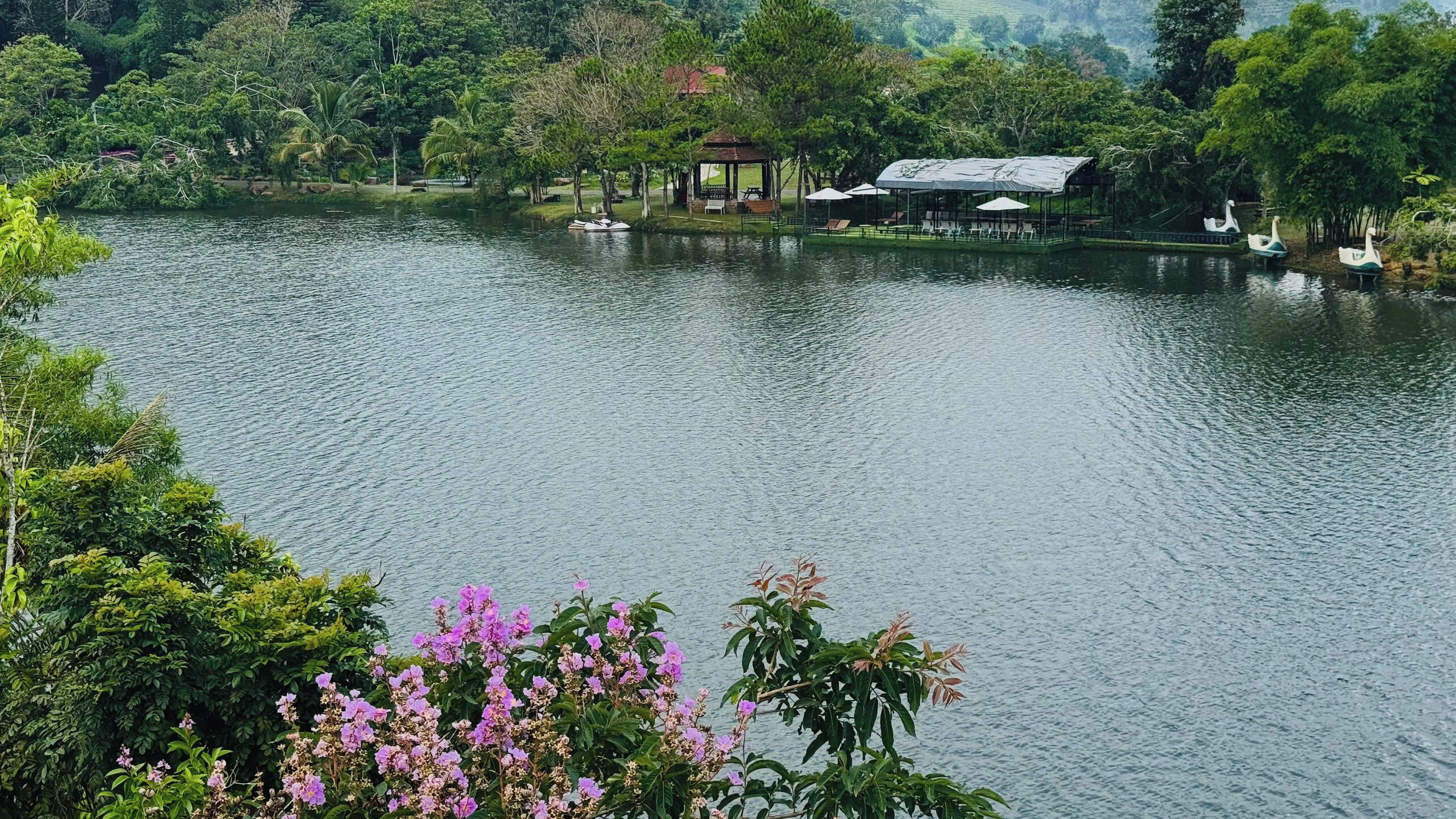 Bungalow Deluxe, ban công, quang cảnh hồ | Khác