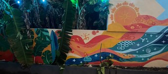 Beach Town 2B Apartment With Social Tropical Vibe
