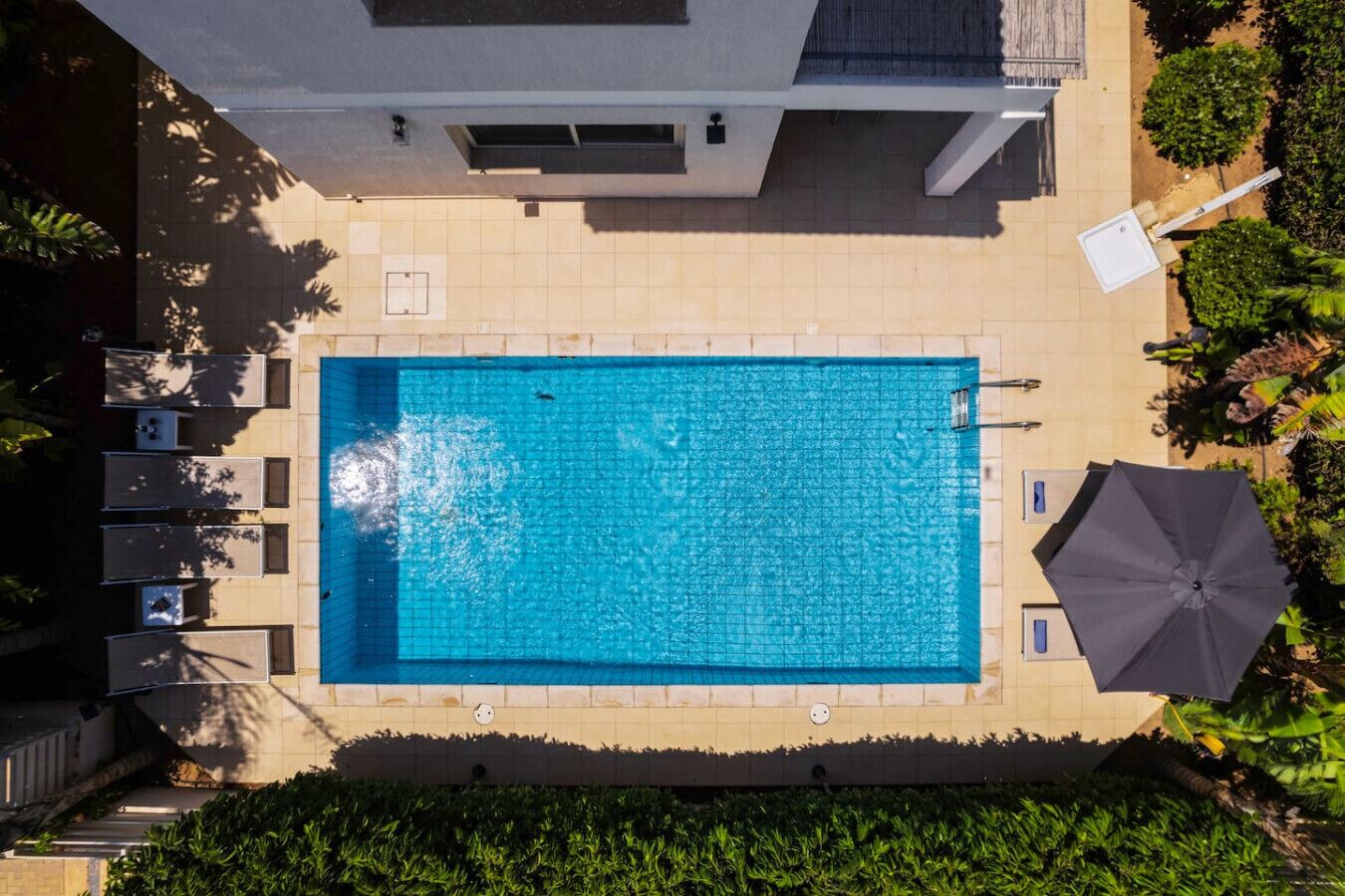 Ovenudblik over et rektangulært swimmingpool med flisebelagte kanter, omgivet af grønt og en bygning med fladt tag.