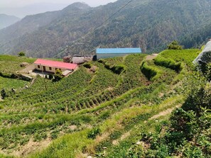 A rural landscape with terraced fields, a small building with a red roof, and a larger building with a blue roof. - Hilans Basera 2Km forest walk from road (Kanatal)