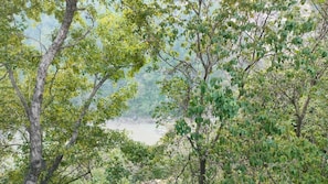 Khác