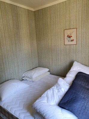 A room with a bed, two pillows, a framed picture on the wall, and a textured wall.