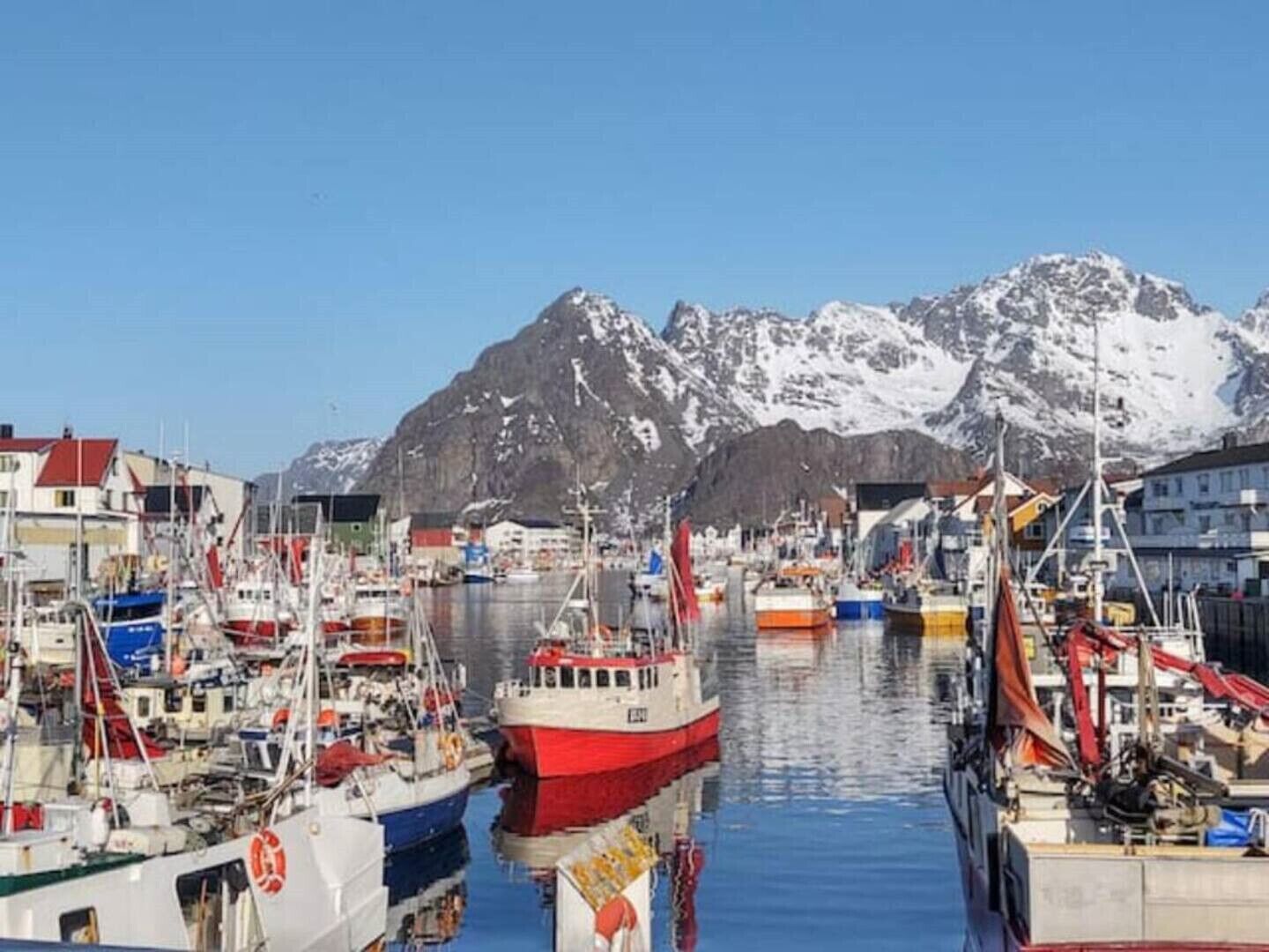A harbor with boats, buildings, and snow-capped mountains in the background.