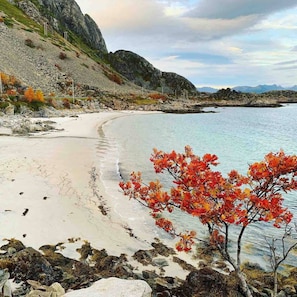 A coastal landscape with a beach, rocky terrain, and autumn foliage.