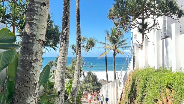 Un camino bordeado de palmeras que lleva a una playa, con un edificio blanco a la derecha.