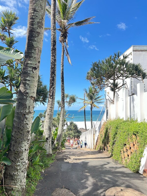 A pathway lined with palm trees leading to a beach, with a white building on the right. - Beachfront Luxury 7 Chaka's Place Ballito (Ballito)