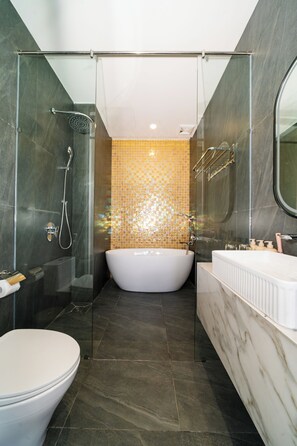 Regadera, tina de hidromasaje, secadora de cabello, bidet 