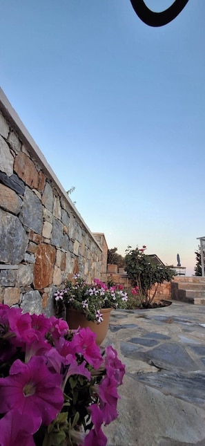 A stone wall with a potted plant and flowers in the foreground. - A two floor villa 2 min.drive from the center of the island and the old town. (ALONNISOS)