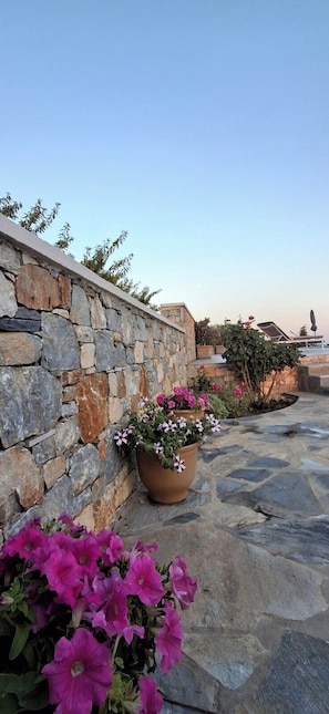 Un mur de pierres avec un pot de fleurs et des fleurs, un chemin de pierres et un ciel dégagé.