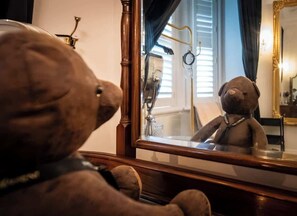Ein Teddybär vor einem Spiegel, im Hintergrund ein Fenster mit Jalousien.
