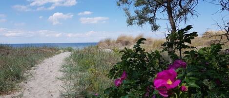 Plage