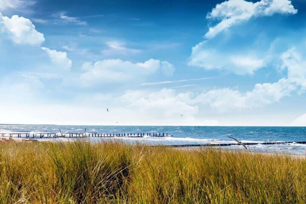 On the beach