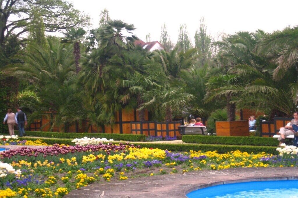 Alberca