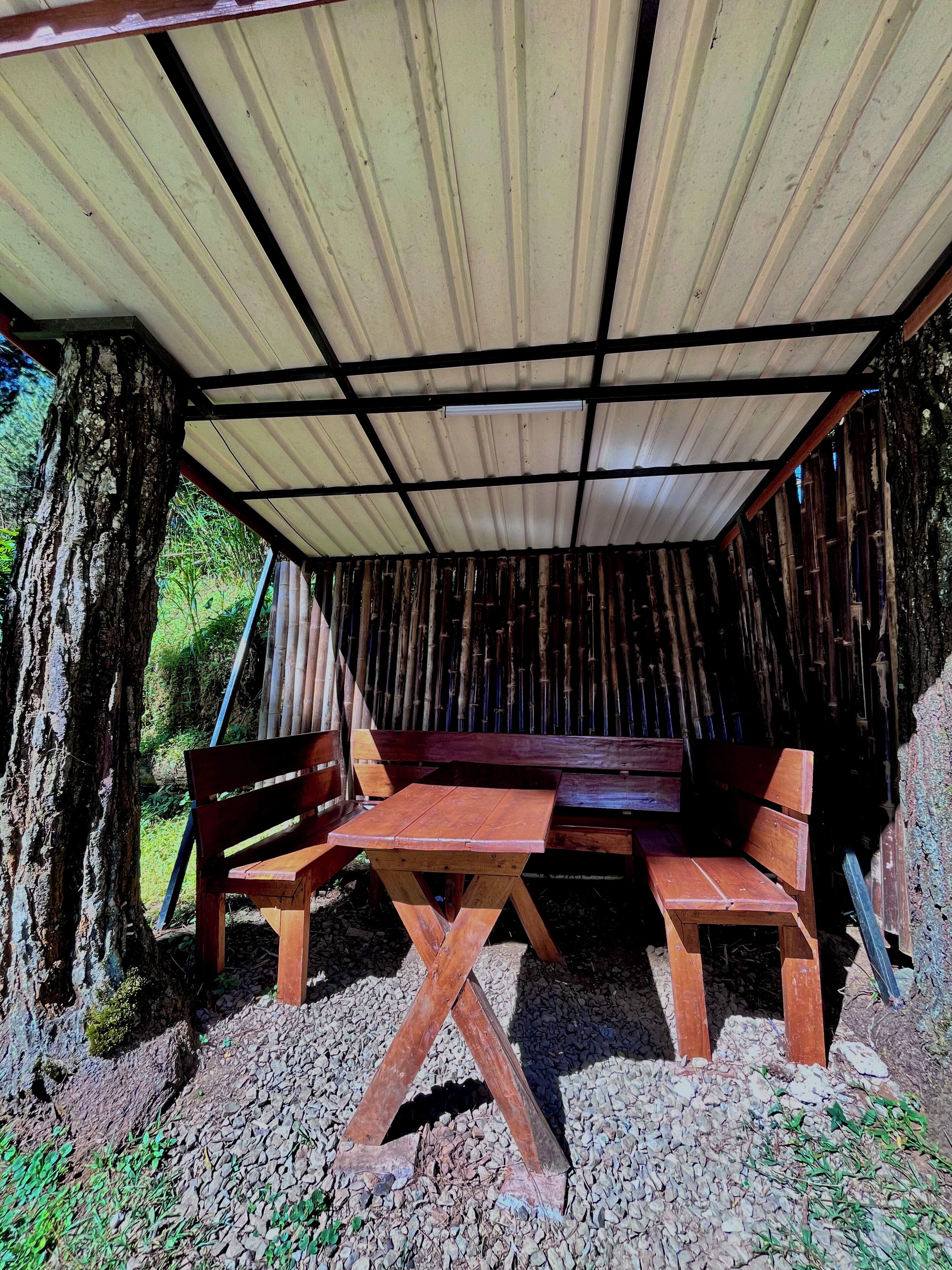 Tent | Outdoor dining