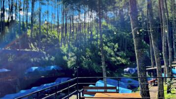 Tent | Outdoor dining