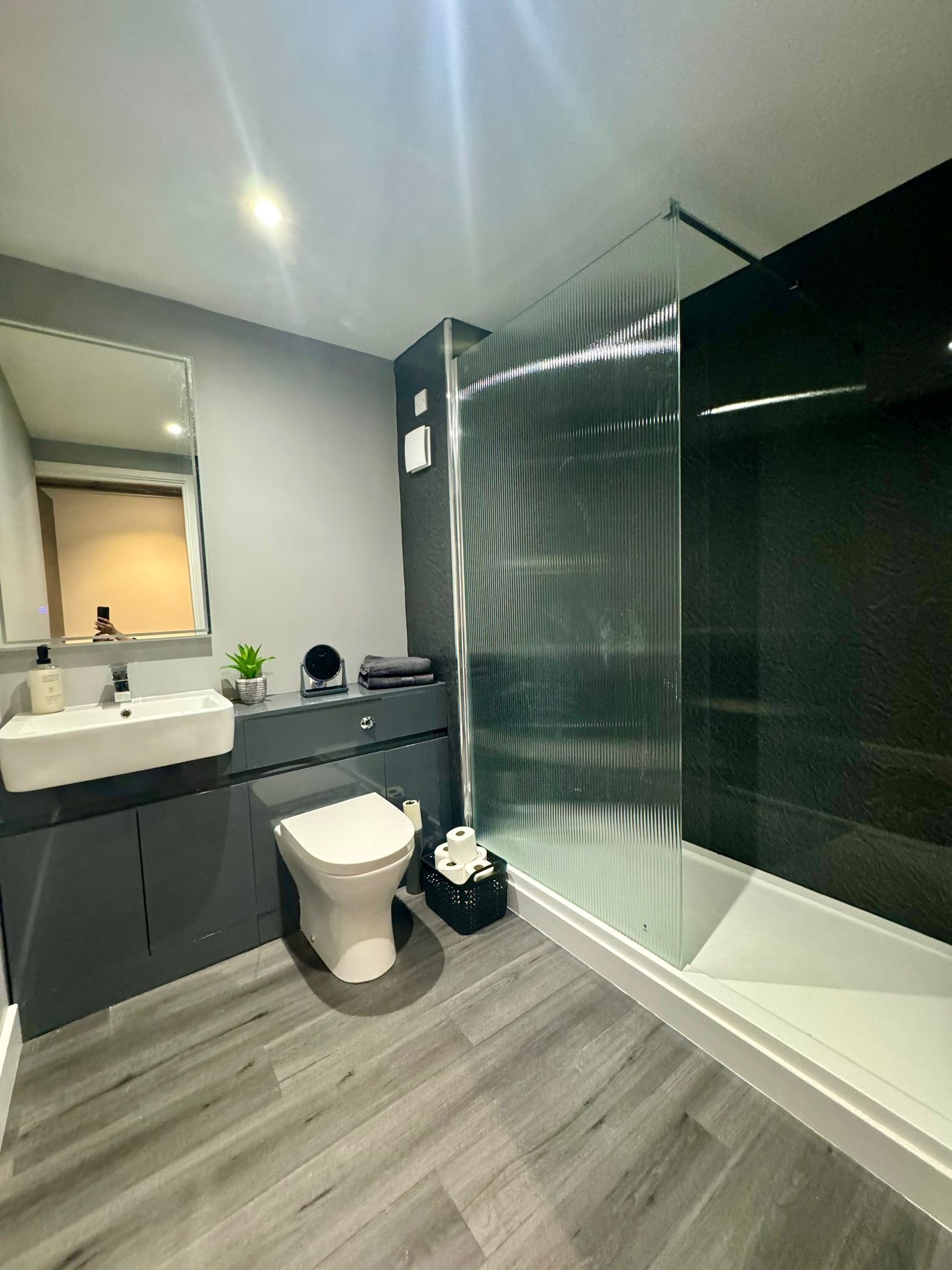Shower, hair dryer, soap, toilet paper
