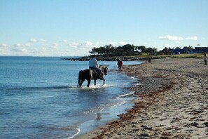 Praia
