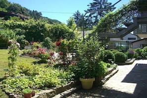Property grounds - Apple in the house at Schlossberg (Sipplingen)
