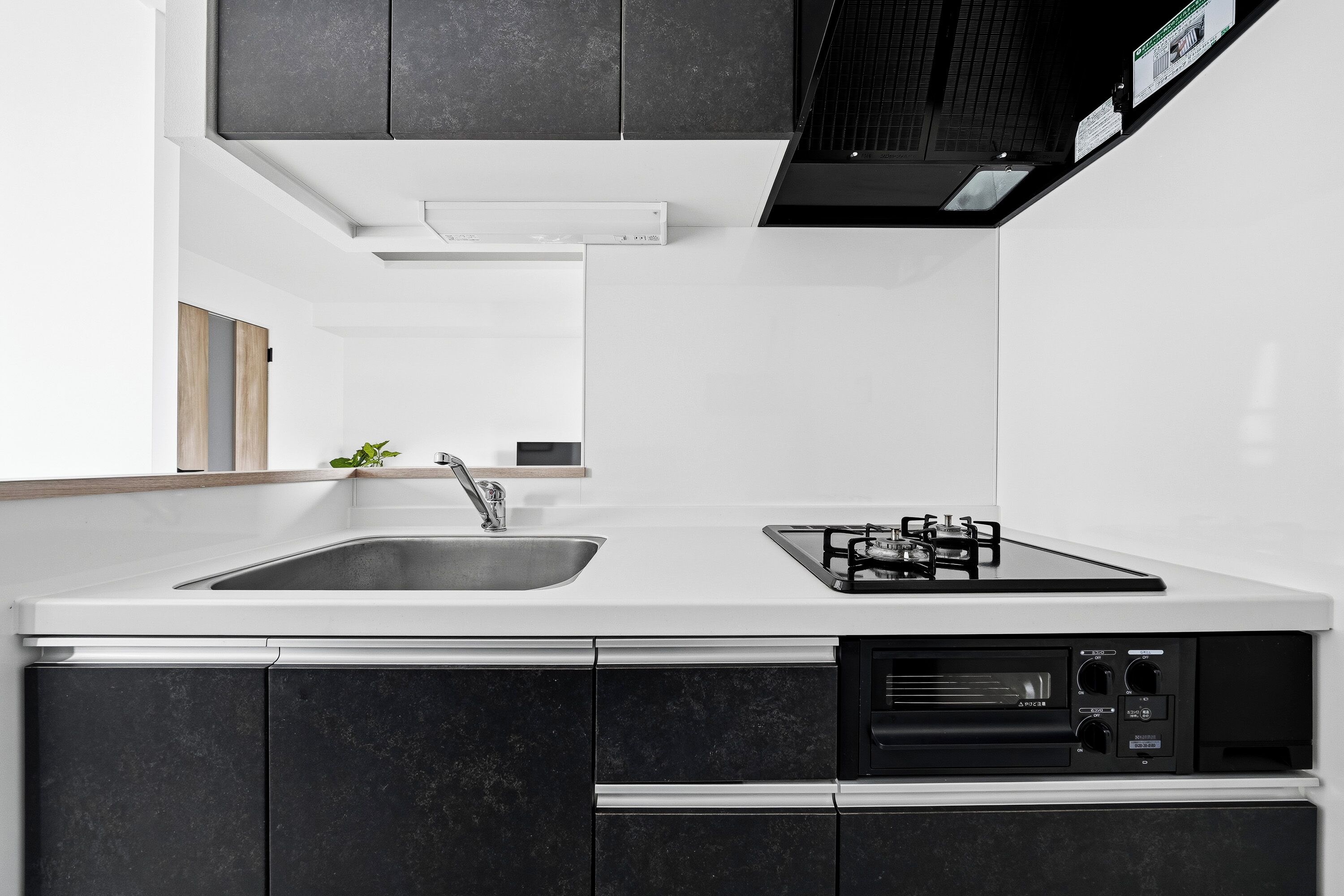 Apartment | Private kitchen | Microwave, stovetop, rice cooker, toaster oven