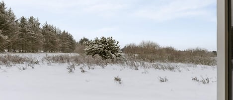 Paisaje nevado con un árbol cubierto de nieve y un edificio en primer plano.