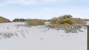 A snowy landscape with sparse vegetation and a clear sky. - 4 Star Holiday Home in Pandrup (Pandrup)