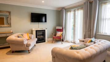 TV, fireplace, books