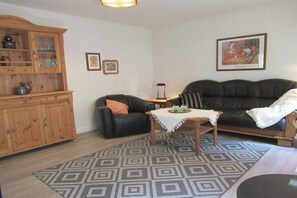 Smart TV, fireplace, DVD player, books