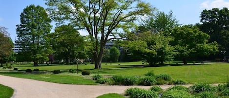 Overnatningsstedets område