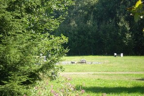 Property grounds - Luigi at Lake Erlauzwiesel (Waldkirchen)