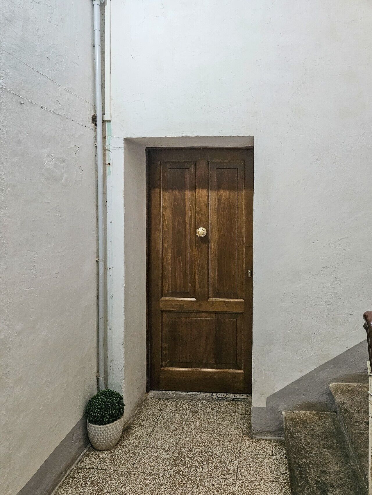 Interni