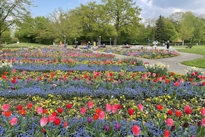 Ein Park mit Blumenbeeten und Bäumen.