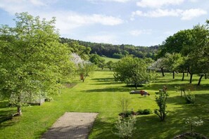 Üppige grüne Landschaft mit blauem Himmel, einem gepflasterten Weg und verschiedenen Bäumen.