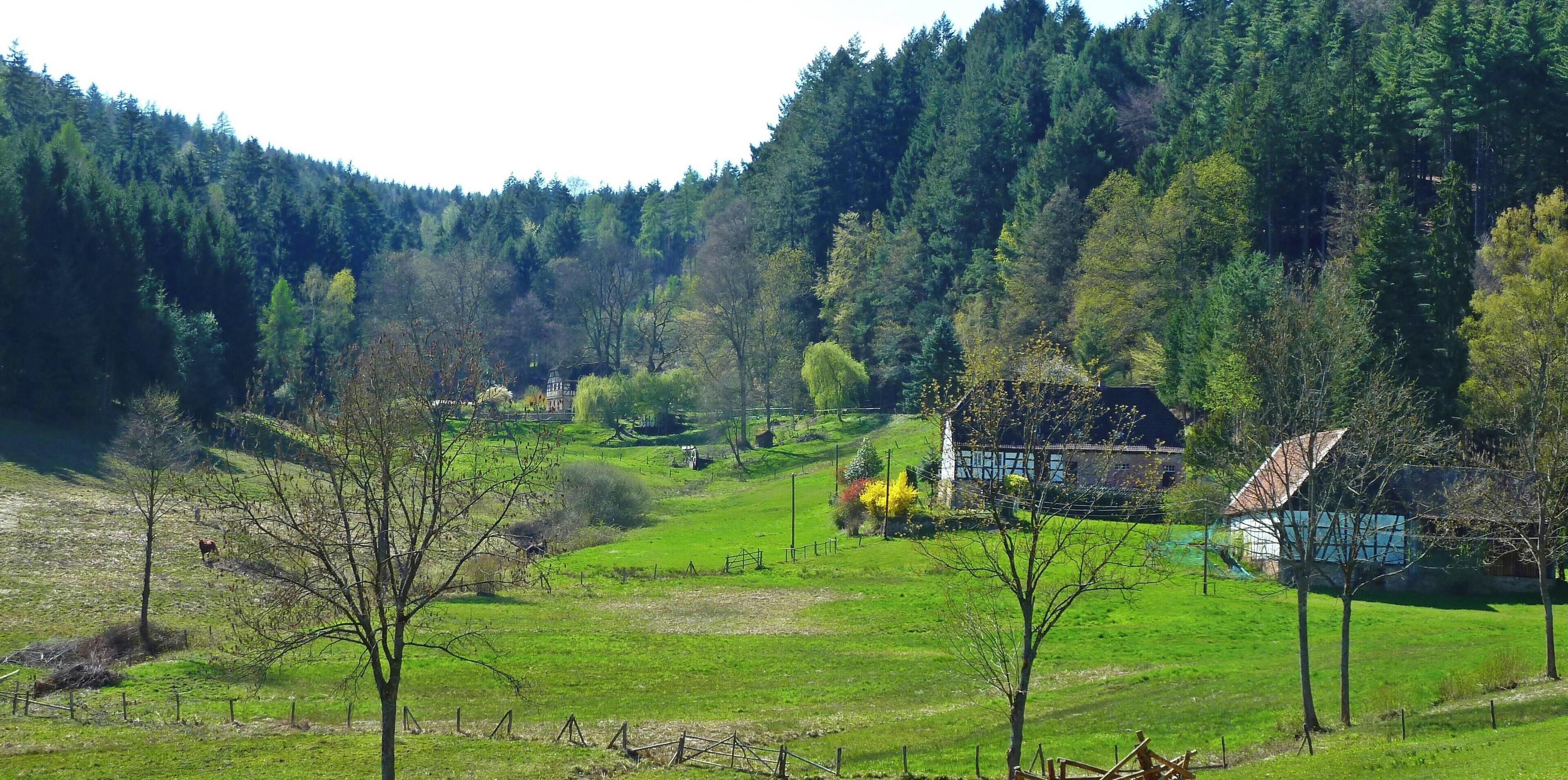 Un paisaje rural con una casa rodeada por un campo cercado, un pequeño estanque y un bosque denso al fondo.