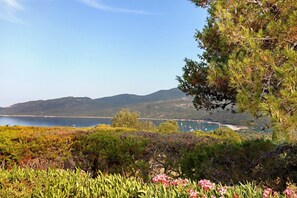 Eine Küstenlandschaft mit Blick auf das Meer, Hügel und einen klaren Himmel.