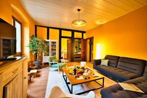TV, DVD player - Domaine de la Tourelle – Vineyard, Alsace (Soultzmatt)