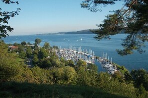 Eine Marina mit vertäuten Booten, umgeben von viel Grün und Hügeln im Hintergrund.
