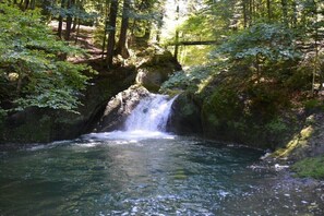 Ein natürlicher Wasserfall in einem bewaldeten Gebiet.