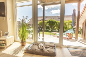 Ein Zimmer mit einer großen Schiebeglasdoor, einer Topfpflanze, einem Haustierbett und Holzboden.