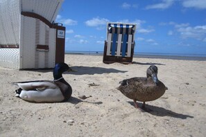 Ein Strandstuhl mit der Aufschrift '32' und ein gestreifter Strandstuhl an einem sandigen Strand unter blauem Himmel.