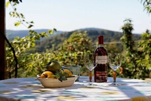 A table with a bowl of fruit and two wine glasses, a bottle of wine, and a view of hills in the background.