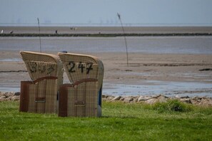 Zwei Korbstühle mit den Nummern 303 und 247 auf einer Wiese in Strandnähe.