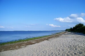 Ein sandiger Strand mit blauem Himmel und ruhigem Wasser.