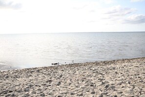 Une plage avec un rivage rocheux et une eau calme.