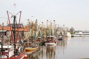 Ein Hafen mit mehreren vor Anker liegenden Fischerbooten, ein weißes Boot im Hintergrund und Gebäude mit roten Dächern.