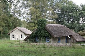 Ein traditionelles Reetdachhaus mit einem kleineren Nebengebäude, umgeben von viel Grün.