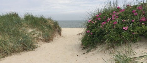 Plage