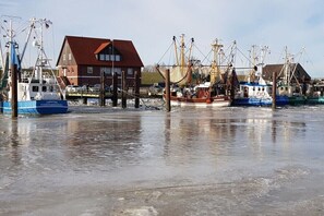 Ein Hafen mit vertäuten Fischerbooten, ein Holzbauten und ein klarer Himmel.
