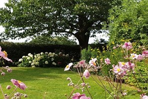 Ein Garten mit einem großen Baum, blühenden Pflanzen und einem Hecken